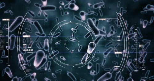 Animation of macro Covid-19 coronavirus cells spreading