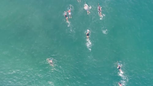 Group of People Swimming in the Sea