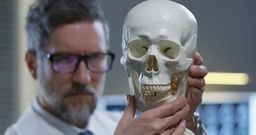 Jaw of Skull Being Adjusted By Doctor