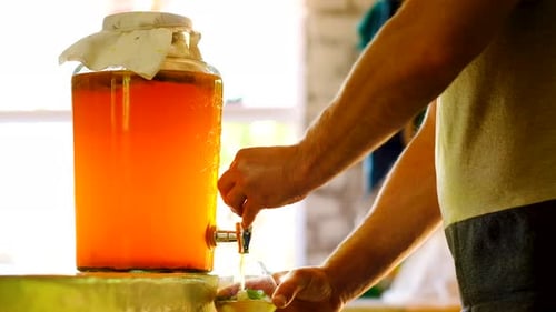 Un homme caucasien verse du kombucha brassé dans un récipient, une boisson probiotique