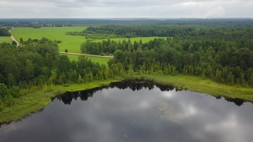 Small Lake In The Forest 21