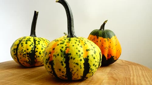 Colorful Gourds on Wood Table