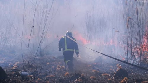 Firefighters in Equipment Extinguish Forest Fire with Fire Hose. Slow Motion