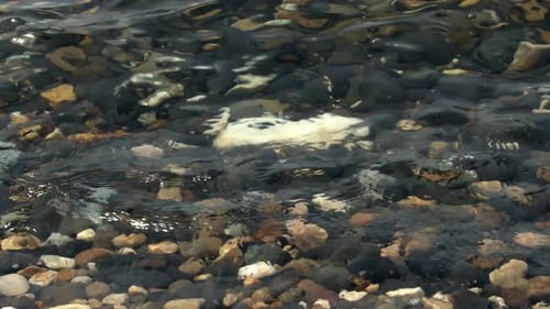Stones And Pebbles Under The Sea