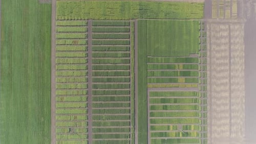 Aerial view of fields