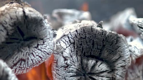 Close Up of Brightly Burning Wooden Logs with Yellow Hot Flames of Fire