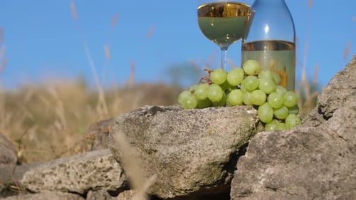 Du vin sur le rocher