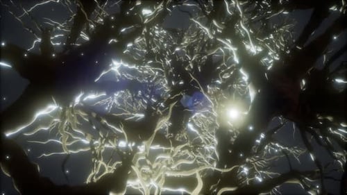 Reise durch ein Neuronenzellnetzwerk im Gehirn