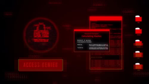 Server Attack and Hacking