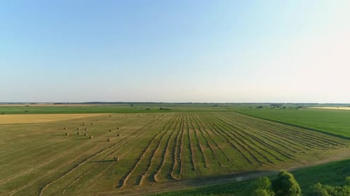 Aerial View Hay Bales at Agricultural Field in Summer at Sunset Haystack