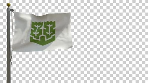 Dynamic Corporate Flag With Green Emblem Waving