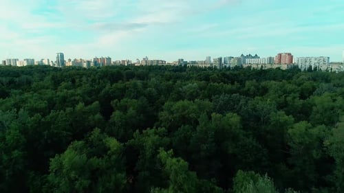Aerial View of Forest and City Skyline