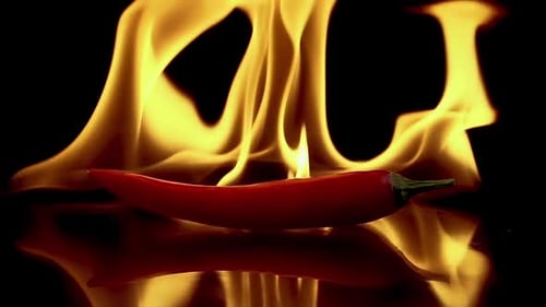 Red Chili Pepper Lit by Fiery Flames