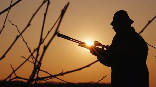 A Man Hunts in the Forest, Takes Aim at an Optical Sight