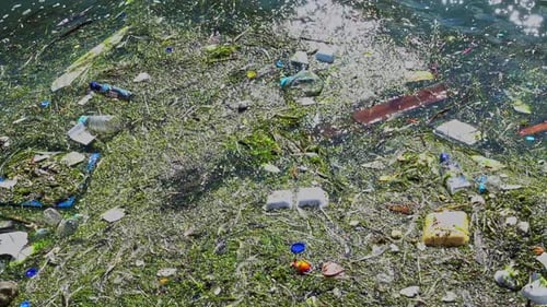 Polluted Waterway Full of Garbage and Debris