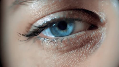 Makroaufnahmen des Auges. Blutgefäße an den Augen. Wimpern in Makro. Nahaufnahme.