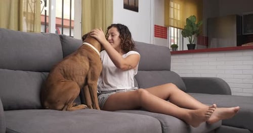 Woman on Sofa Petted by Affectionate Dog Indoors