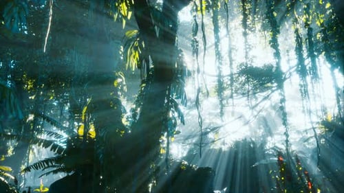 Golden Sunbeams Shine Through Lush Green Tropical Jungle Forest