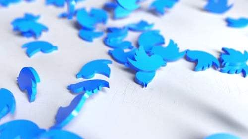 Twitter-Logo fallen lassen