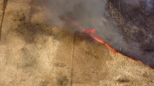 Aerial view of a field with dry grass set on fire with orange flames and high column of smoke.