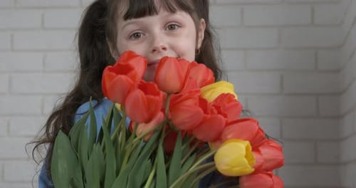 Girl Holds Red and Yellow Tulip Bouquet