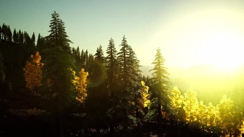 Bright Sunset in the Mountains