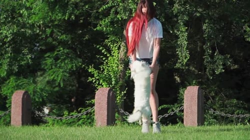 Happy Beautiful Woman with Red Hair Plays With A White Small Dog on Green Lawn in Park