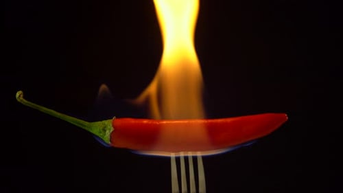 Burning Red Chili Pepper on a Fork