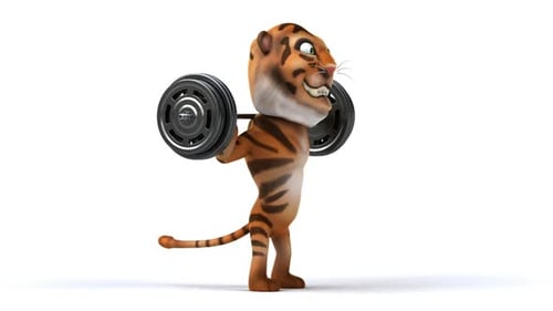 3D Cartoon Tiger Lifting Barbell Fitness Animation