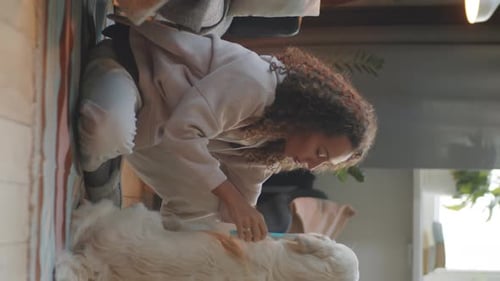 Woman Brushing Golden Retriever Dog at Home