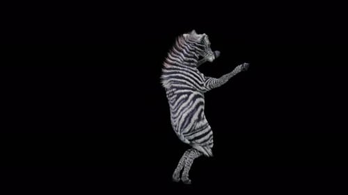Animated Dancing Zebra Character Loop with Alpha Channel