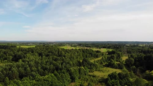 Meadows and Forests