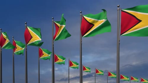 The Guyana Flags Waving In The Wind - 4K