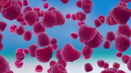 Raspberries Falling on Blue Beach Background