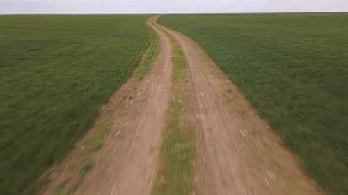 Aerial View of a Country Road Through the Green Wheat Field in Spring