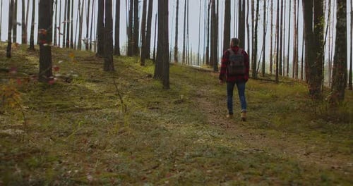 Young Man with Backpack Walking on the Hill Against the Mountains at Sunset in Autumn. Landscape