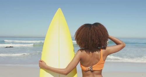 Clean Circular Shape Reveal Transition