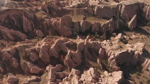 Top View Beautiful Rose Valley Textures (Dlog)