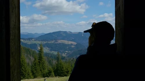 Man Gazing at Majestic Mountain Landscape From Window