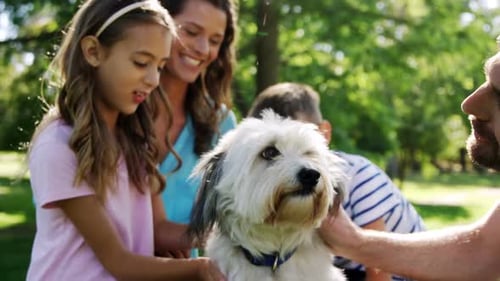 Family playing with their dog in the park