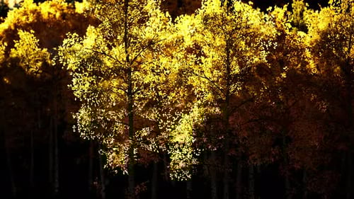 Bright Sunset in the Mountains