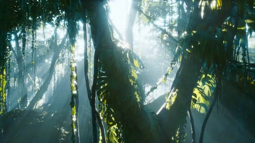 Cinematic Jungle Forest Sun Rays Animated Background
