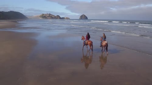 Aerial view of women riding horses at beach