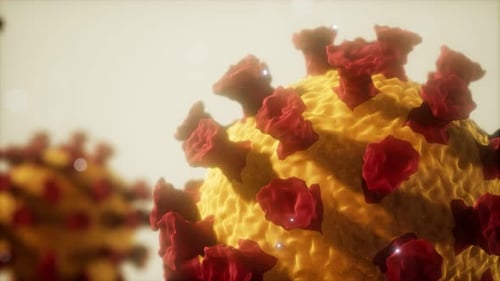 Corona Virus Covid 19 Macro Model