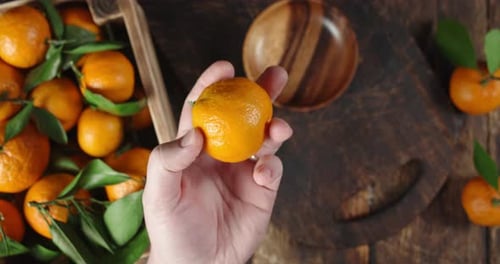 Fresh Ripe Mandarin in the Man's Hand