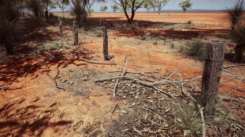 Rural Australian Outback Landscape with Old Wire Fence