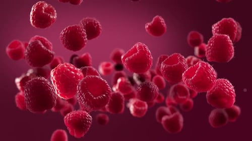 Fresh Red Raspberries Falling in Slow Motion