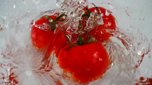 Ripe Tomatoes Splashing Into Clear Water