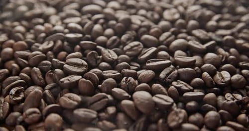 Detailed View of Rich Brown Coffee Beans