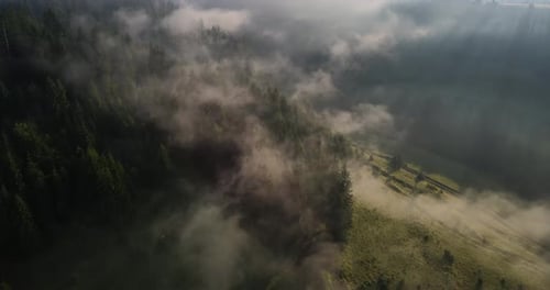La niebla se está espesando en el bosque de los Cárpatos